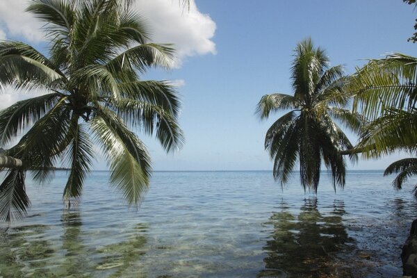Tropische Insel im Ozean mit Palmen über dem Wasser, klarem Himmel und Sonnenstrahlen