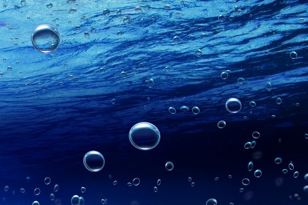 Die Unterwasserwelt im Minimalismus