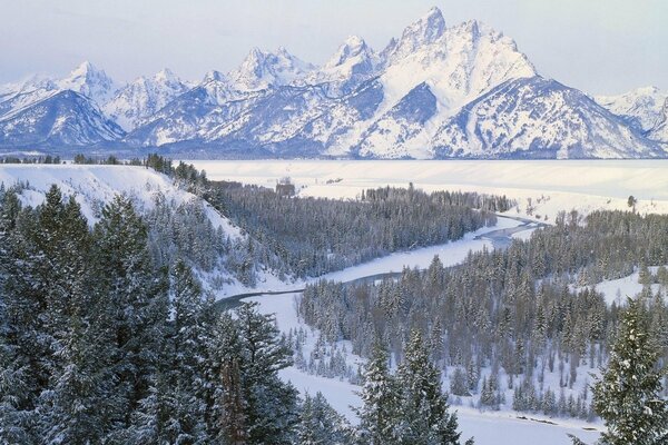 Schneebedeckte Berge und Wälder