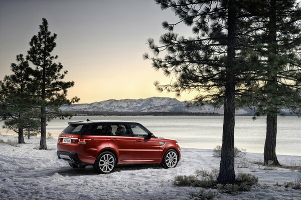 Roter Land Rover im Winterwald