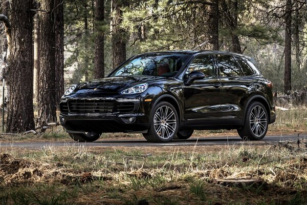 Schwarzer Porsche Cayenne fährt auf Waldstraße