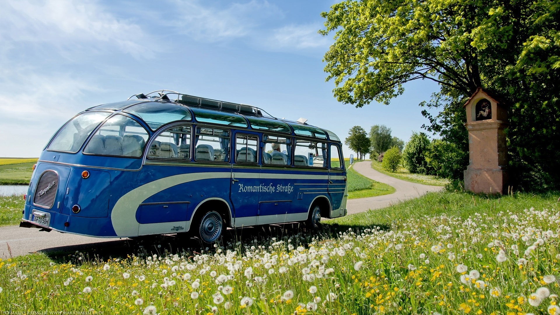 der bus