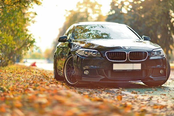 Schicker BMW auf der Herbststraße
