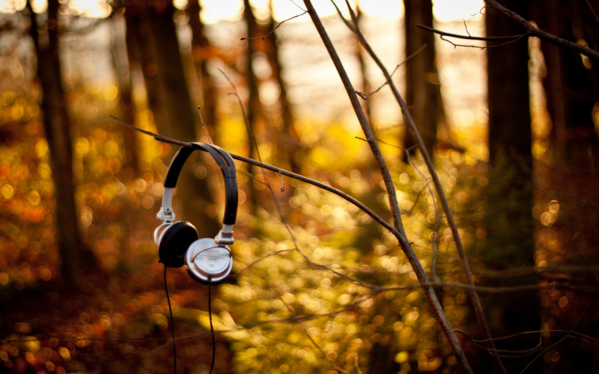 kopfhörer sony wald zweige
