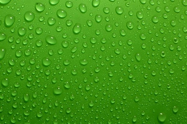 Wassertropfen auf grünem Hintergrund