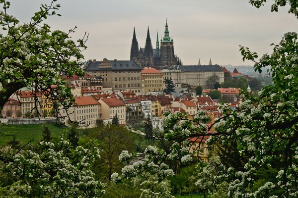 Panoramablick auf das Gebäude der tschechischen Republik im Frühjahr