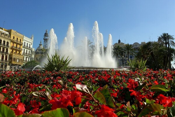 Schöner Brunnen hinter leuchtend roten Blumen