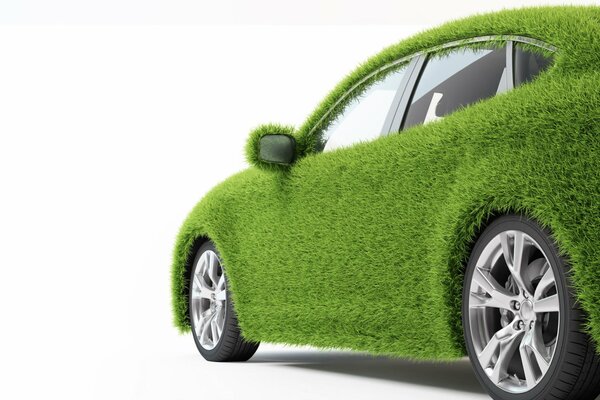Auto mit grünem Gras dekoriert