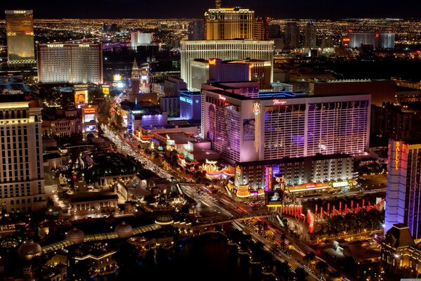 Las Vegas mit Flamingos Nevada