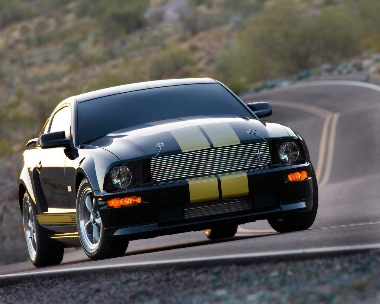 auto mustang straße