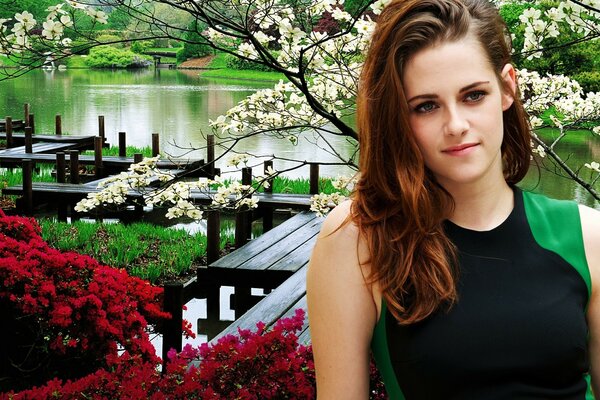 Hollywood-Star auf Fluss-Hintergrund