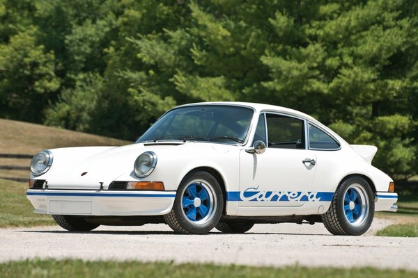 Weißer Supersportwagen Porsche Carerra