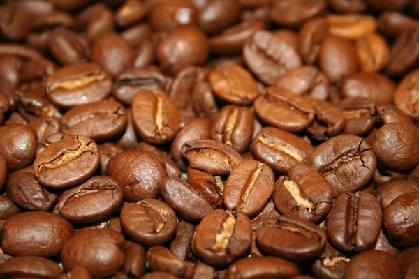 Viele Kaffeebohnen in loser Schüttung