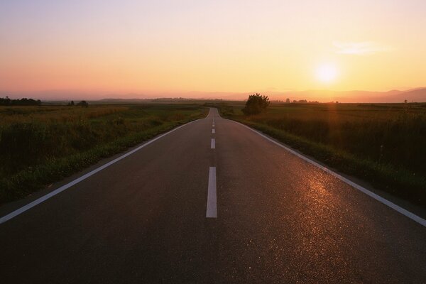 Der Weg in die Ferne ist schön