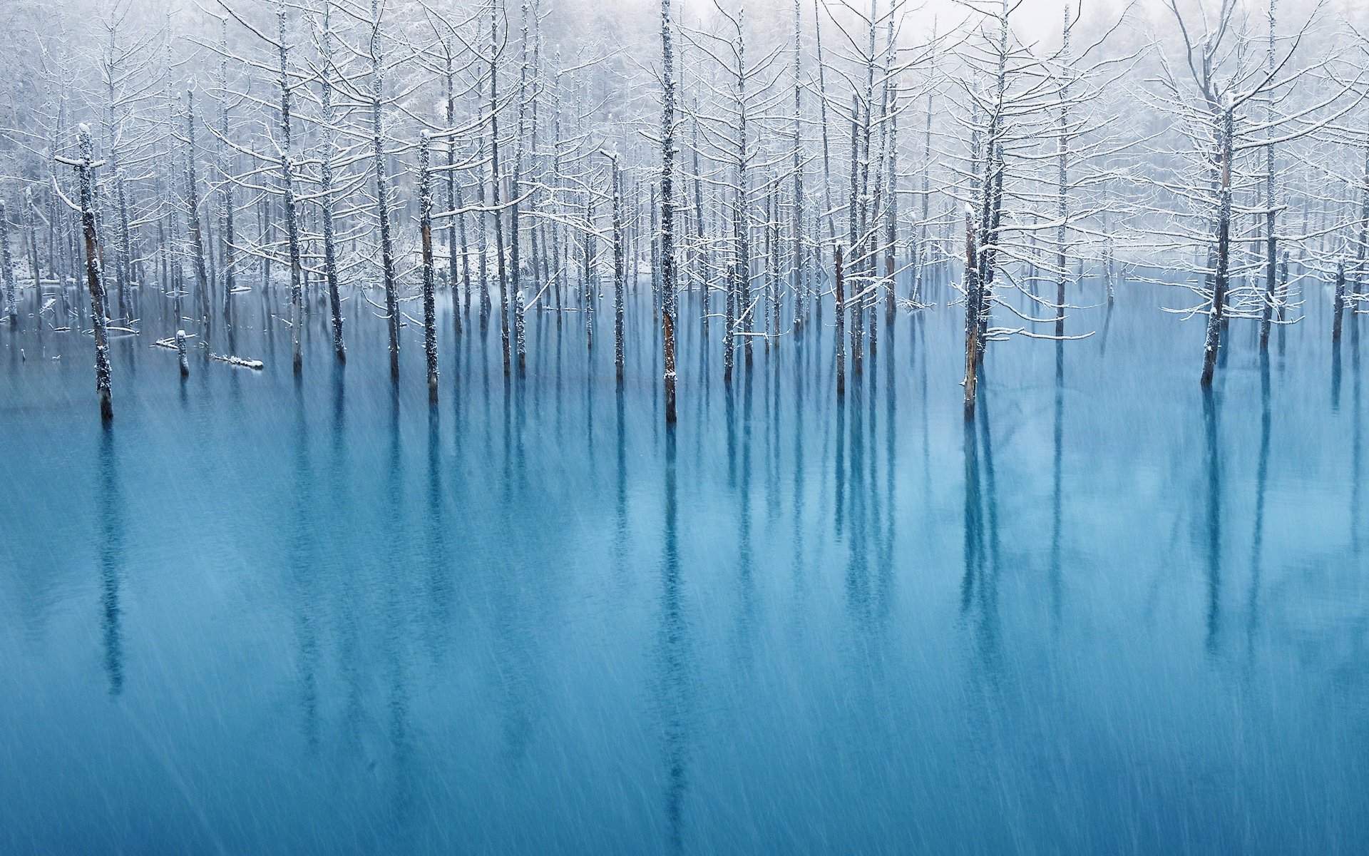 retina mac holz apfel wasser