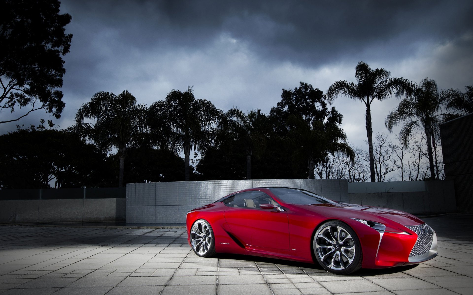 lexus abend palmen licht