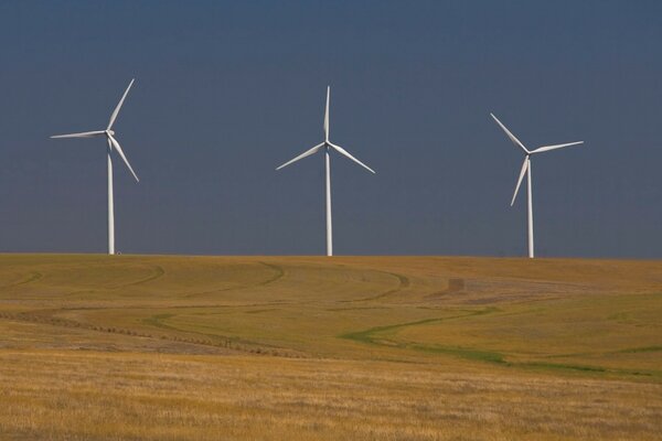 Drei Windräder im Weizenfeld