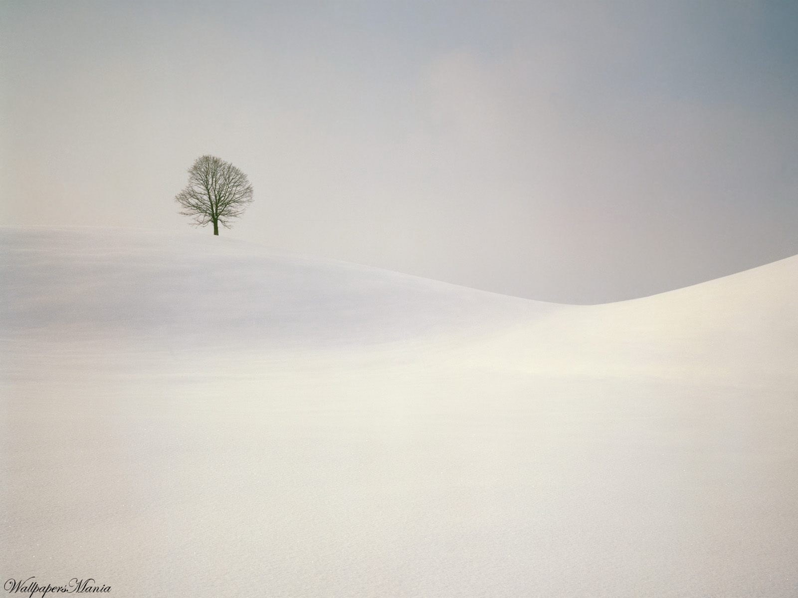 minimalismus holz hügel