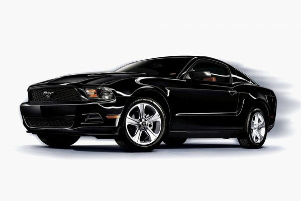 Schwarzer Mustang auf weißem Hintergrund