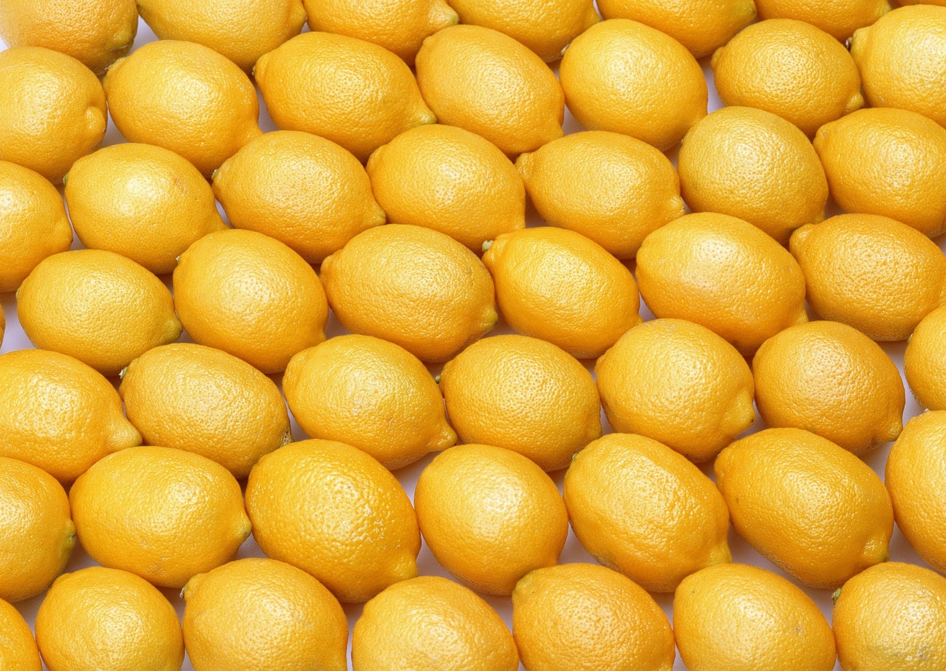 hintergrund zitrone zitrusfrüchte
