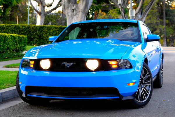 Ford Mustang Blue gt 2010