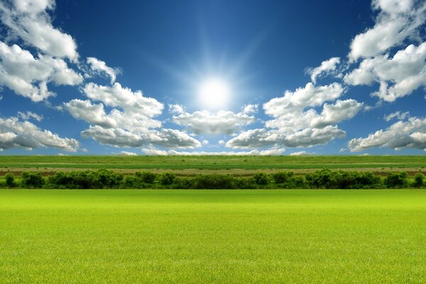 Sonne Wolken Himmel Gras