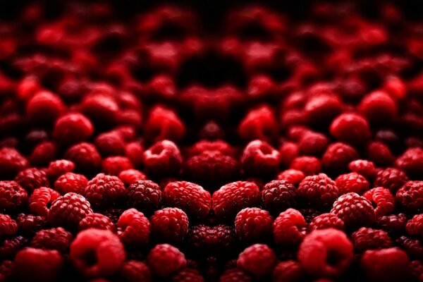 Viele Himbeerbeeren in verschiedenen Formen