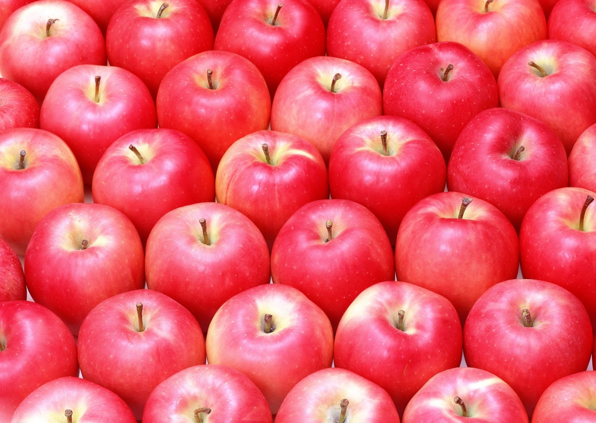 ansicht obst lecker äpfel