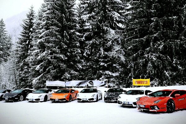 Lamborghini-Autos im Winter im Schnee