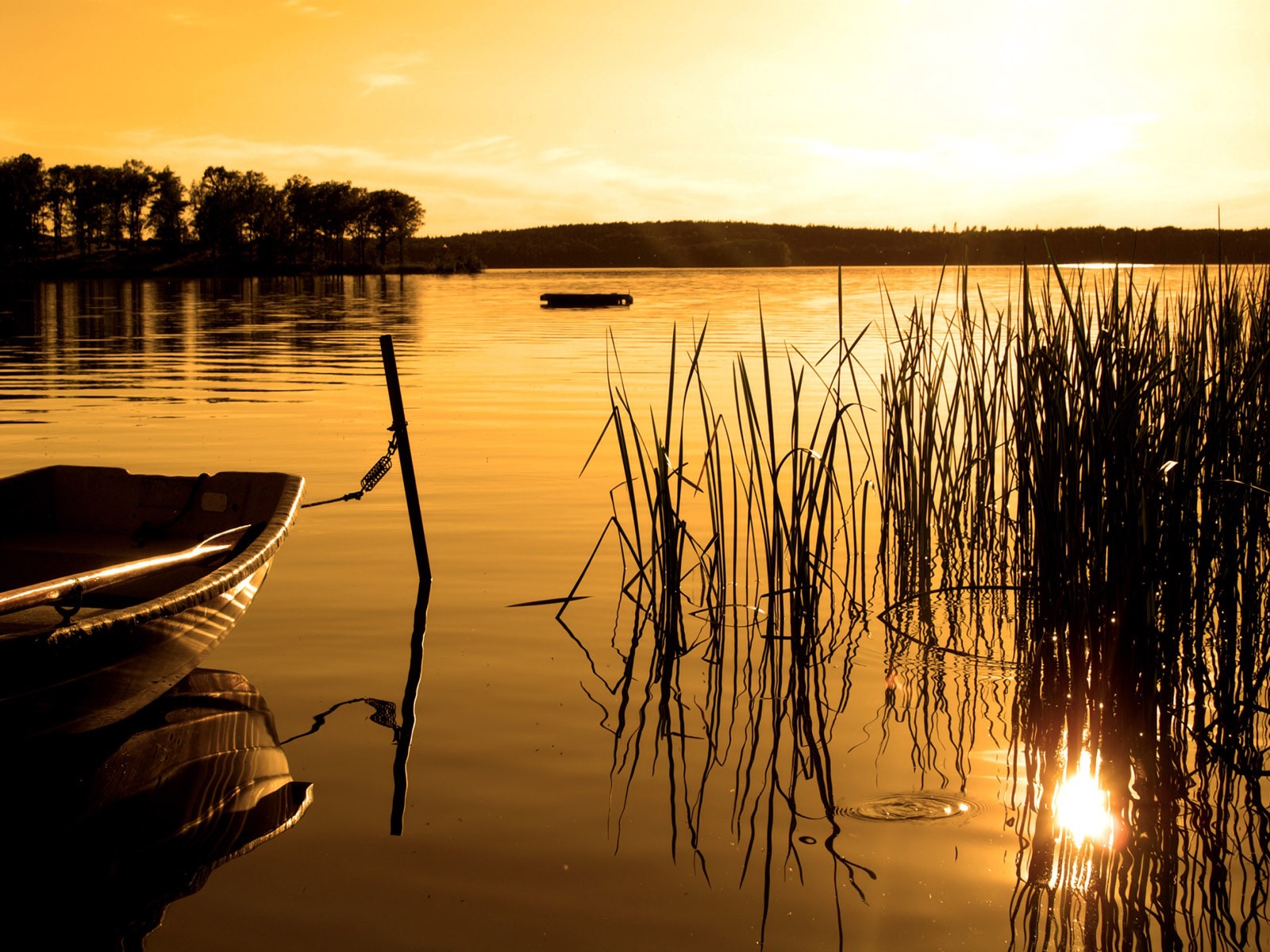 boot see wald sonnenuntergang sepia