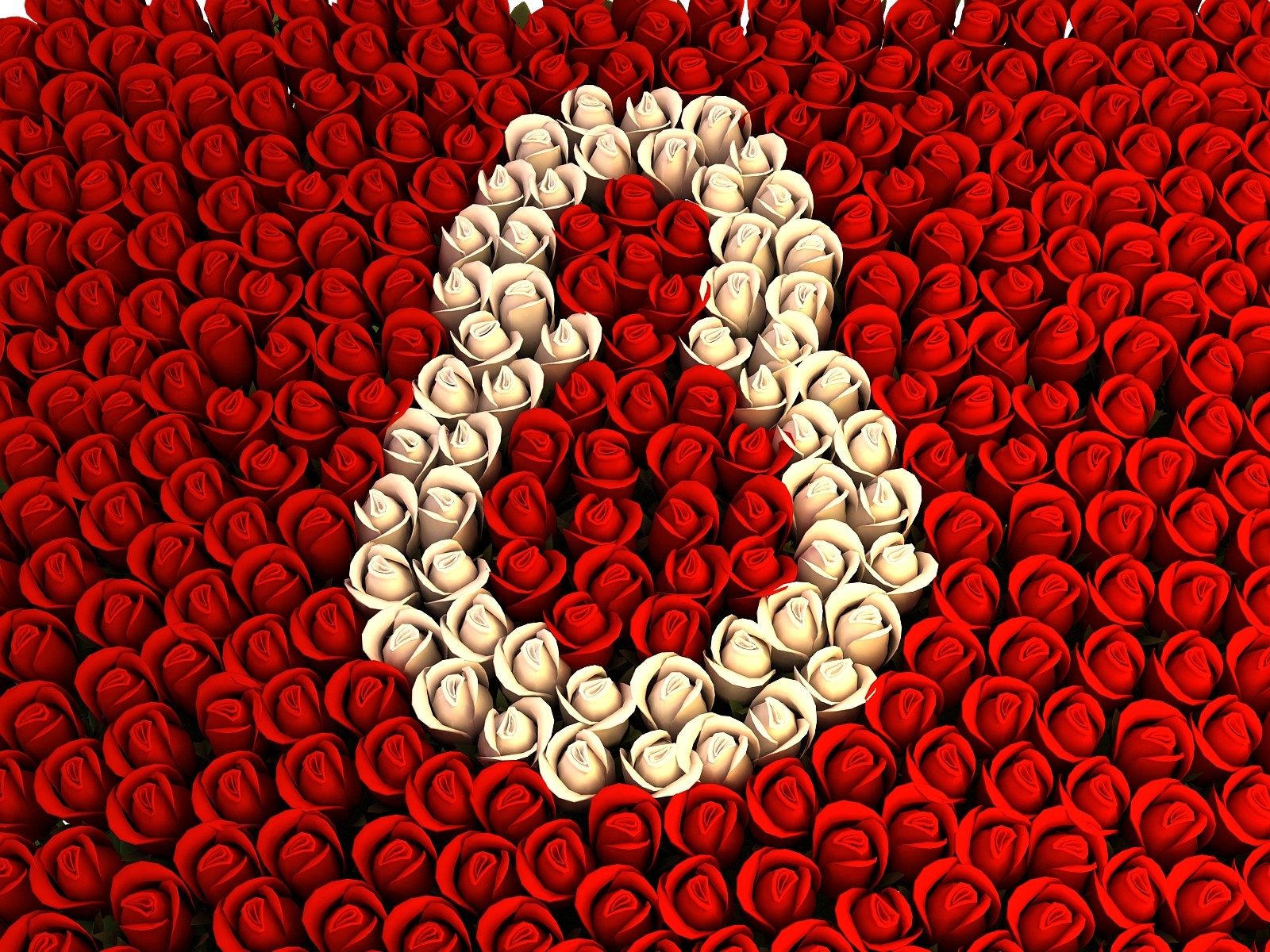 8. märz blumen rosen roter hintergrund