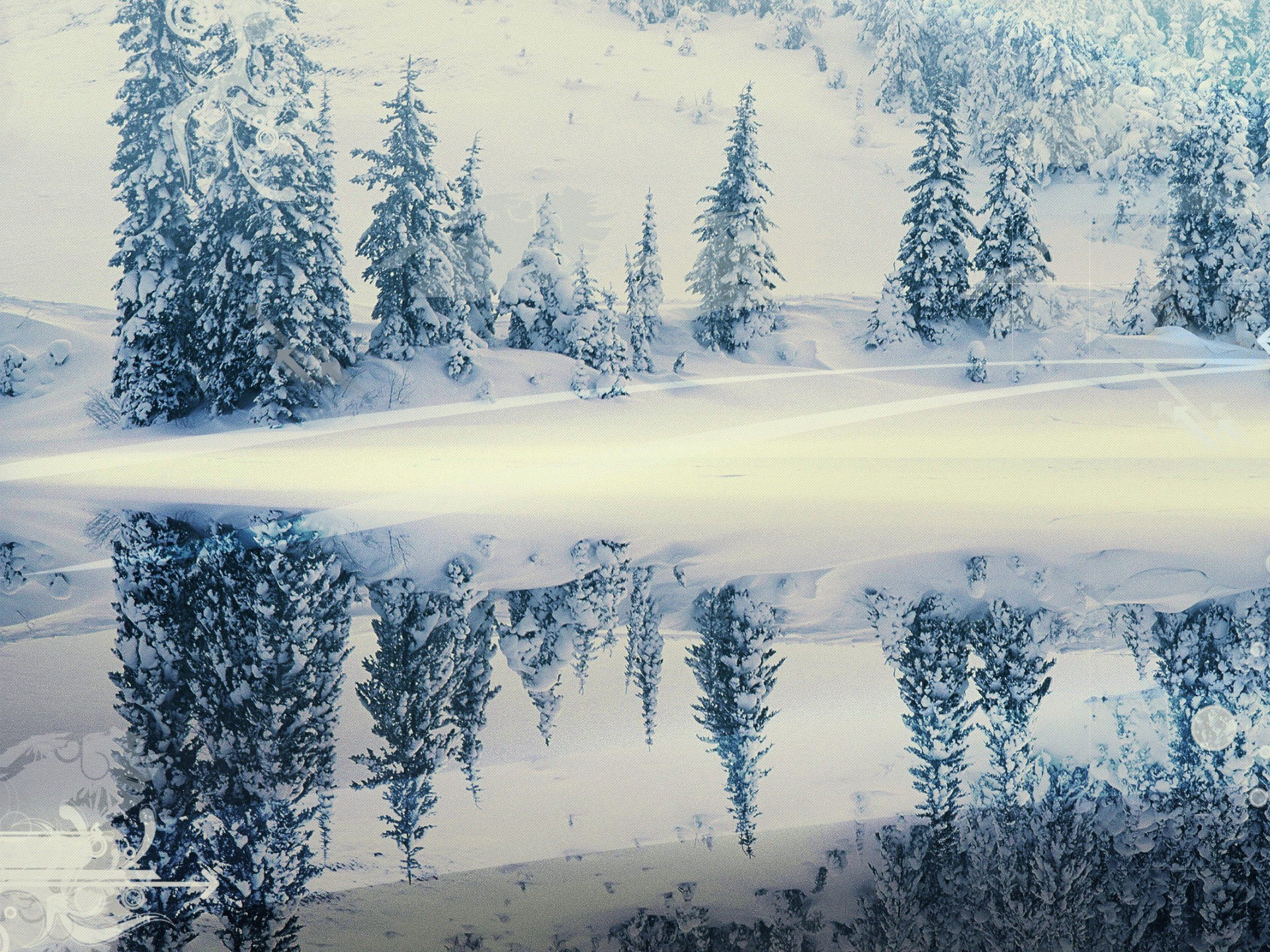 reflexion winter schnee weihnachtsbäume
