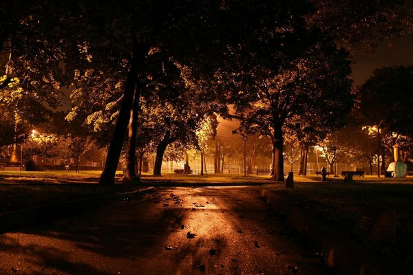 Dunkler Park in der Nacht bei Laternenlicht