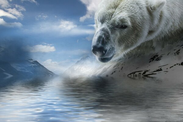 Kunst mit einem Eisbären am Wasser