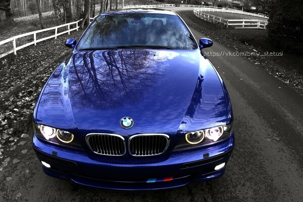 Schöner blauer BMW im Herbstpark