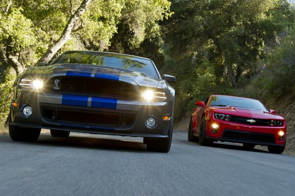 Ford Mustang im Rennen auf der Strecke