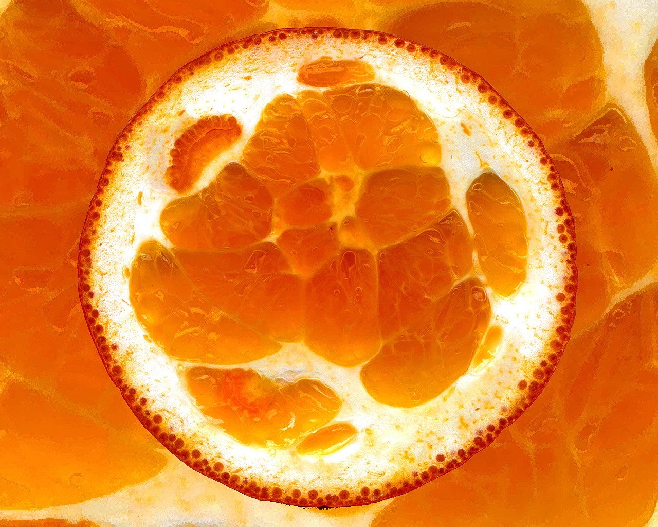 orange orange