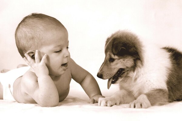 Kleinkind chatten und spielen mit Hund
