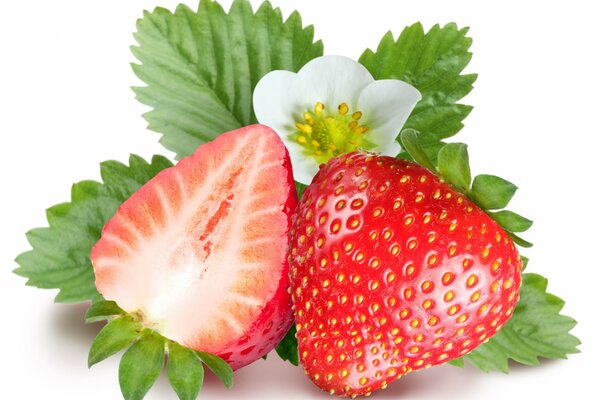 Reife Erdbeeren auf weißem Hintergrund