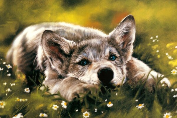 Kleiner blauäugiger Welpe unter Gänseblümchen
