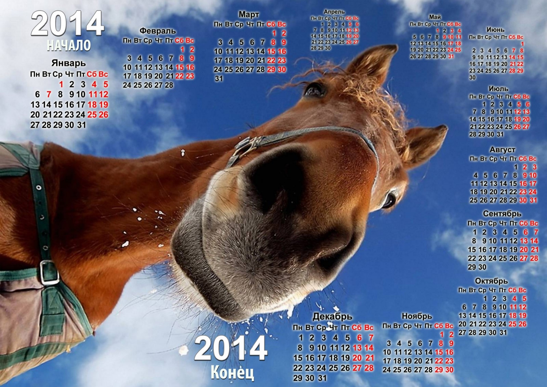 2014 jahr jahr des pferdes kalender