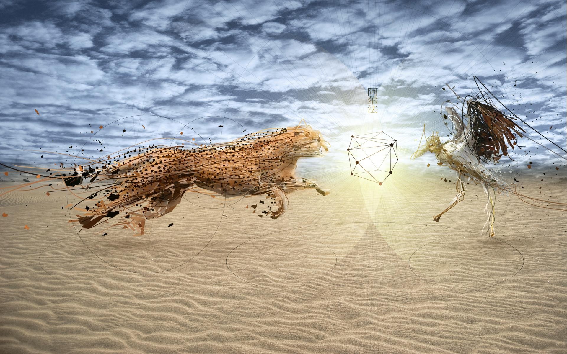 sand himmel gepard