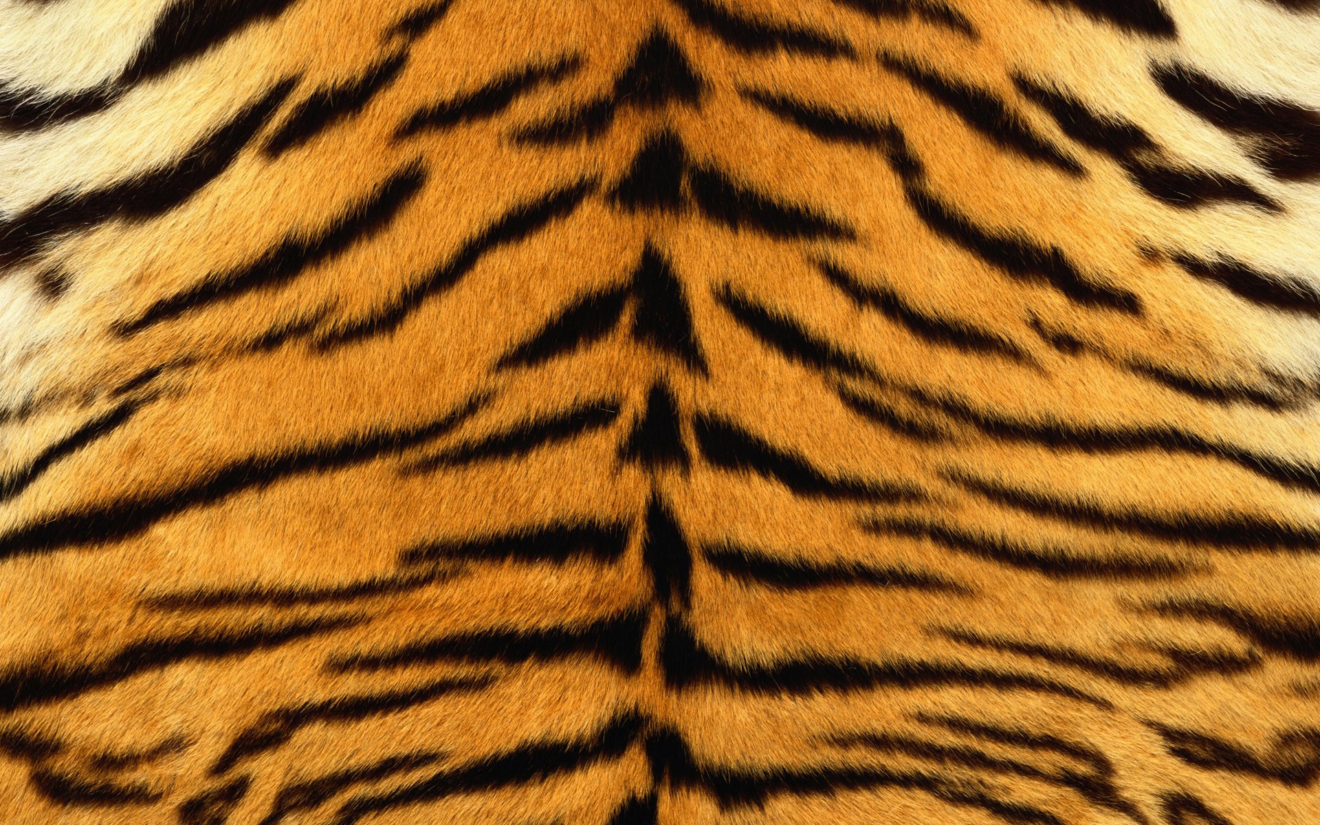 haut tiger streifen fell gestreift