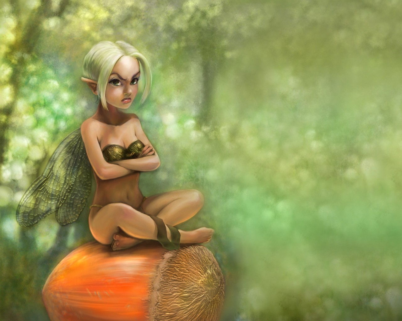 elf groll nuss wut