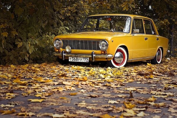 Retro-Klassiker in Herbstlaub