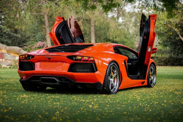 Ein orangefarbener Lamborghini für echte Feinschmecker