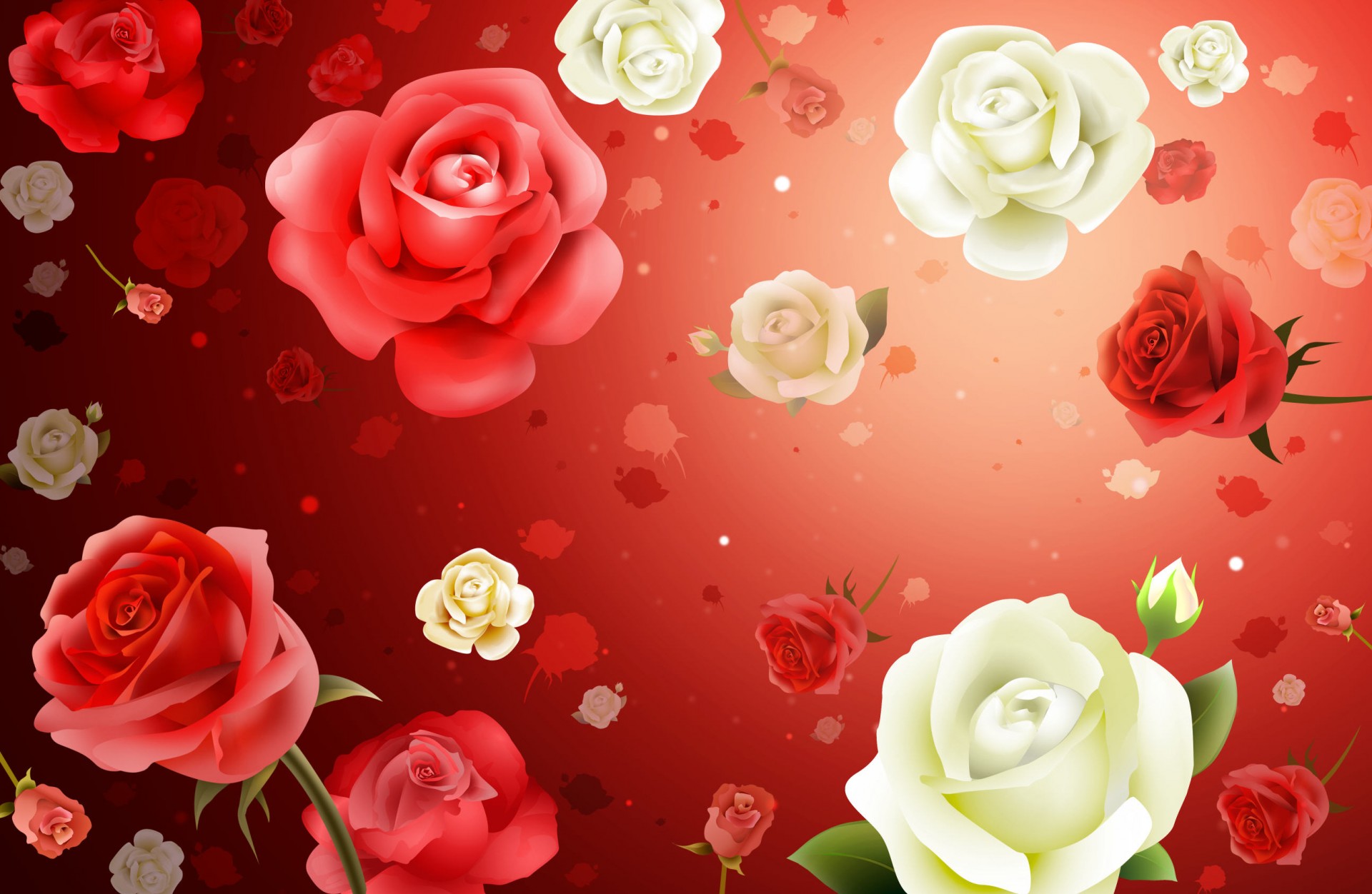hintergrund rosen blumen
