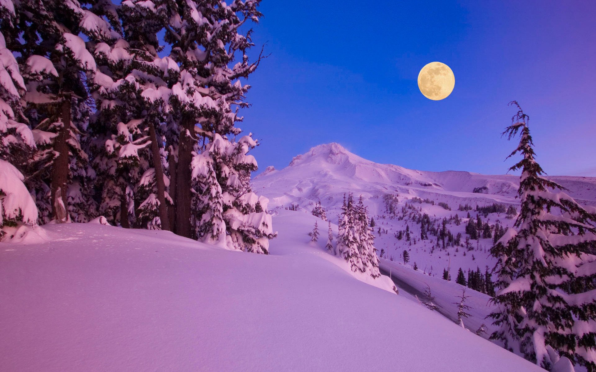natur winter schnee berge wald bäume nacht mond monat