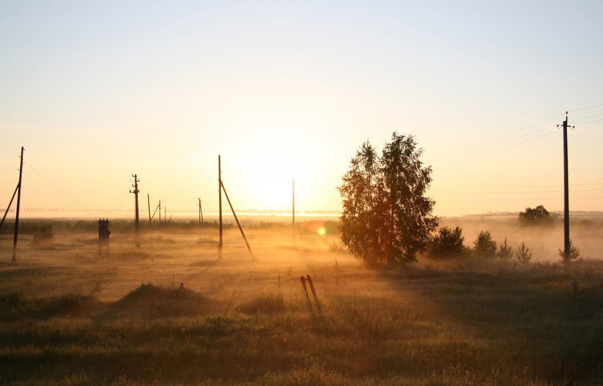 natur nebel morgendämmerung morgen feld russland baum