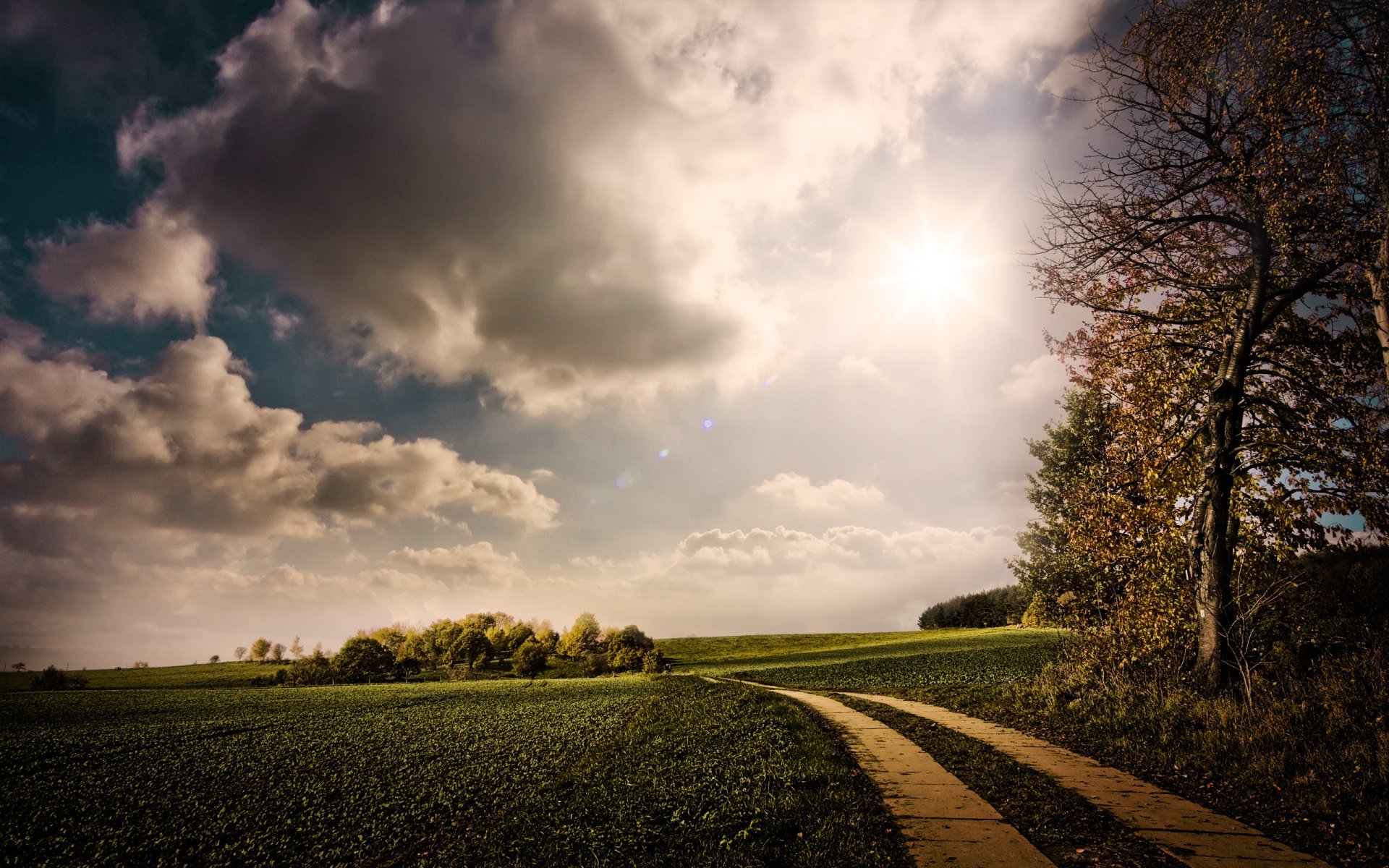 sonne natur straße grün wolken bäume himmel